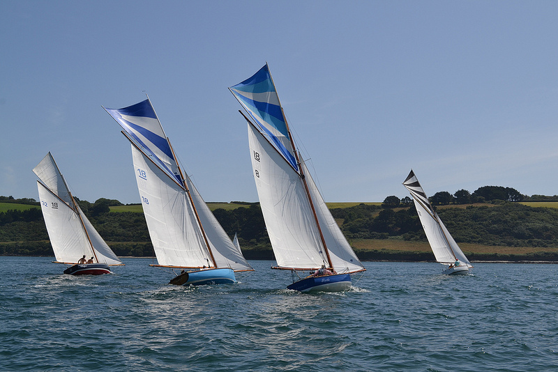 Magpie leads, Whisper, Marie and Myrtle ( from left to right)