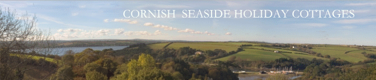 cornishseasideheader.gif - 65668 Bytes