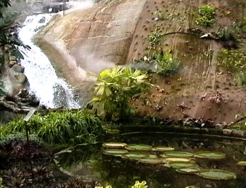 Lilypond and waterfall