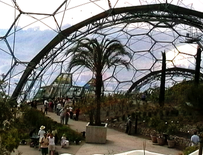The Mediterranean Biome