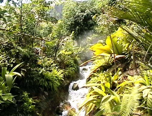 The cascade