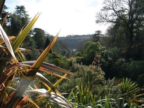 Glendurgan Gardens
