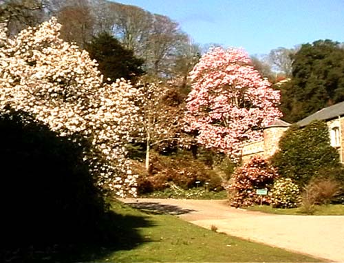 The Entrance to Caerhays Castle