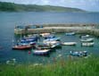 Coverack Harbour