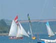 Working Boats in Falmouth Harbour